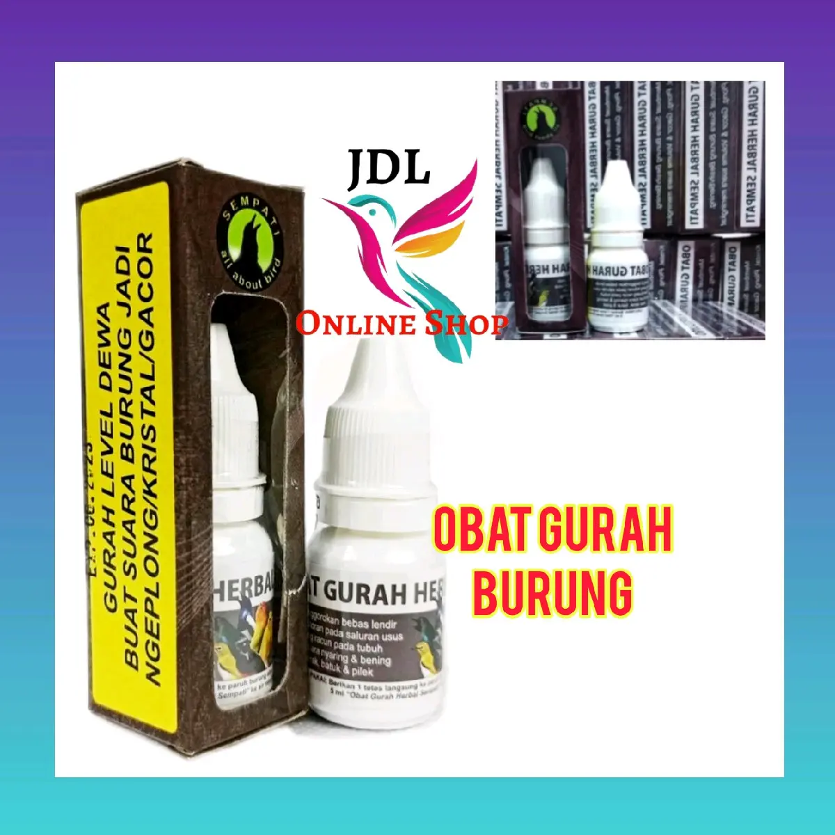 OBAT GURAH BURUNG MENGATASI SERAK LENDIR NAFAS PENDEK RADANG