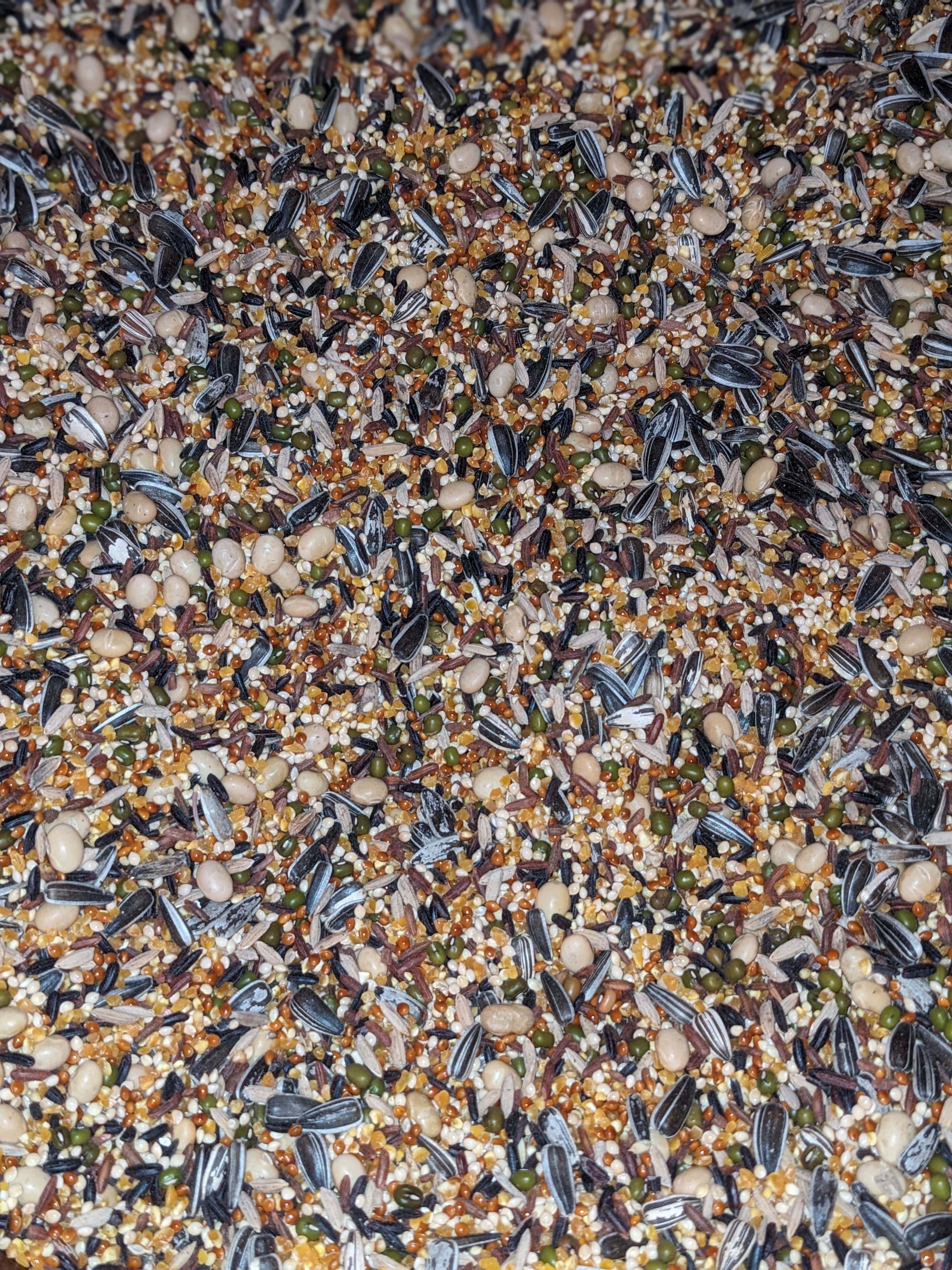 makanan hamster hamfood pakan hamster tanpa pelet cocok untuk hamster kesayangan kemasan 1000 gram TERMURAH makanan hamster hamfood pakan hamster tanpa pelet cocok untuk hamster kesayangan kemasan 1000 gram TERMURAH