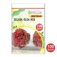 Gambar 100 biji Benih sayuran selada - bibit sayuran selada merah Olga Red - Selada olga red dari Nada fast benih jaya Kab. Banyumas 1 Tokopedia