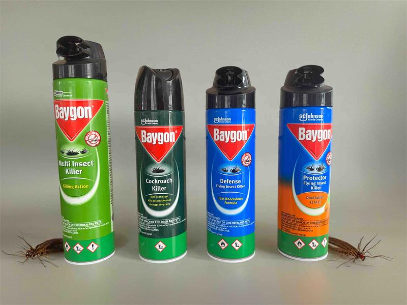 BYGN Flying Insect Killer Spray Protector/Defense 600 m l- 500 - TikTok ...