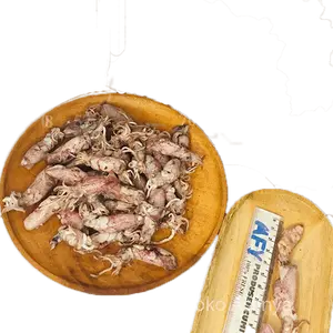 cumibaby asin (khusus pulau jawa estimasi dibawah 5hari)