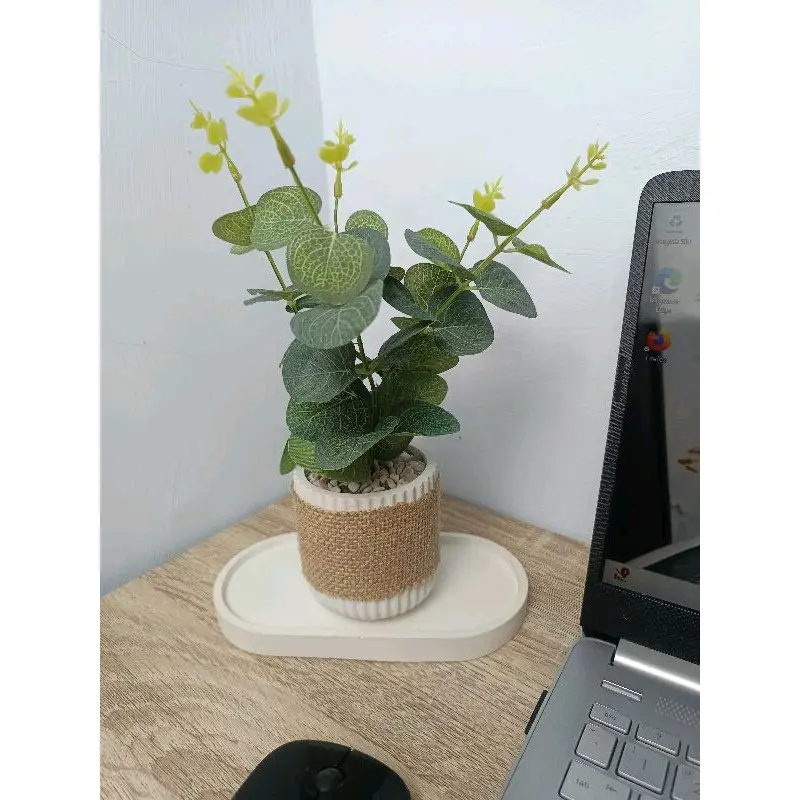 Sensha Galeria Set Daun Eucalyptus Pot Diffuser / Hiasan Meja Estetik / Hiasan Rumah Estetik / Hiasan meja kantor meja kerja Hampers Home decor 0