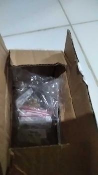 Product Review of 3 Benih Labu Air Panjang Balistik Super Bibit Sayuran Unggul Bintang Asia Tanaman Sayur Berkualitas from R**a 0