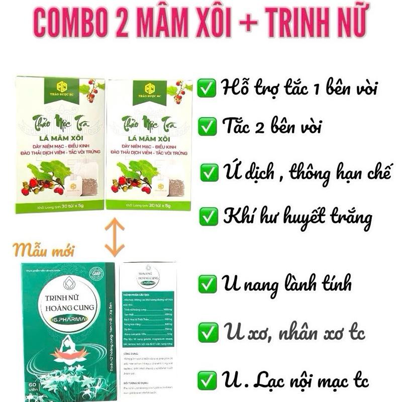  Combo Trà Mâm Xôi Túi Lọc + Trinh Nữ 