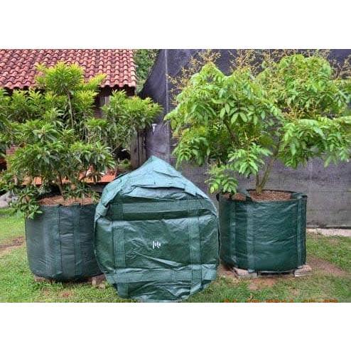 Gambar PLANTER BAG 500 LITER HIJAU dari Easy Grow_NEW Kab. Gunungkidul Tokopedia