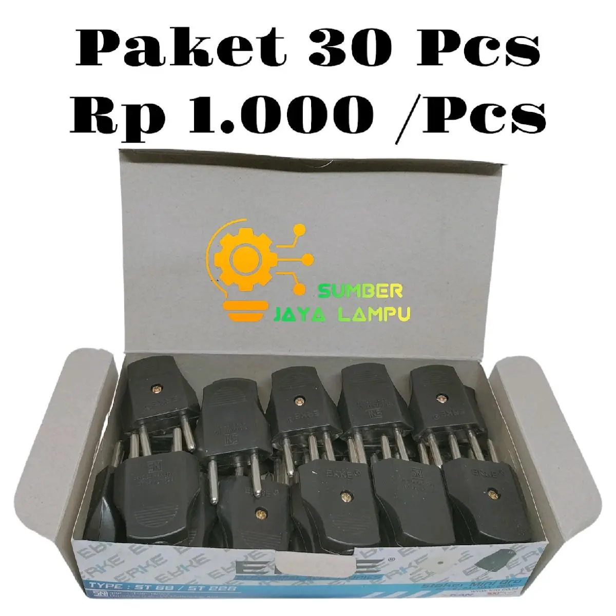 PAKET USAHA STEKER ERKE BULAT DAN GEPENG