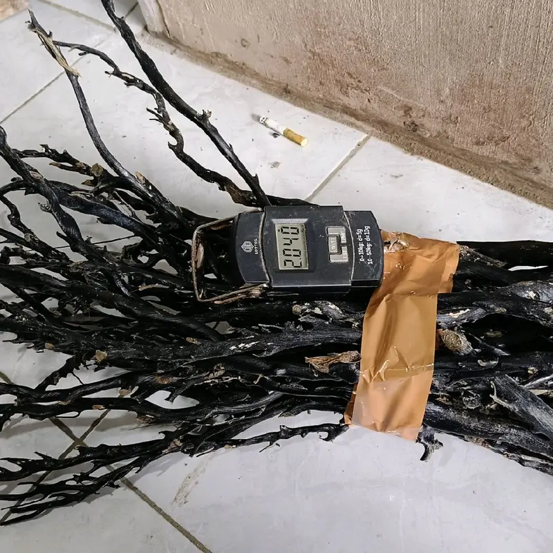 Bahan akar bahar hitam lentur kualitas super batang rata,padat dan berserat. 5