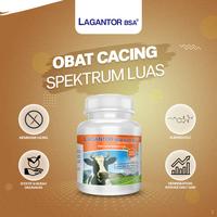 Gambar KALBE Lagantor Bolus Obat Cacing Spektrum Luas Sapi & Kerbau - 40 Bolus dari Kalbe Animal Health Kota Administrasi Jakarta Timur 2 Tokopedia