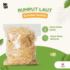 Rumput Laut 1 Kg Spinosum Kenyal Putih Murah Original Sea Moss Gel