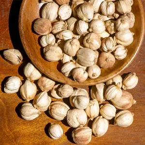 KAPULAGA KAPOL KAPOLAGA KERING 500/1KG Herbal Kecombrang Jahe