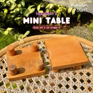 Meja Hamster Kotak Mini | Mini Table Platform hamster