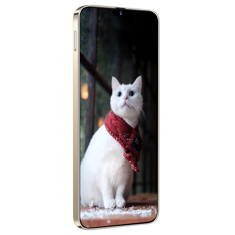 LUONG THI2 Màn hình viên nang 6,7 inch 2025 Android 13 mới, tín hiệu 5G, bộ nhớ 12+512GB 1