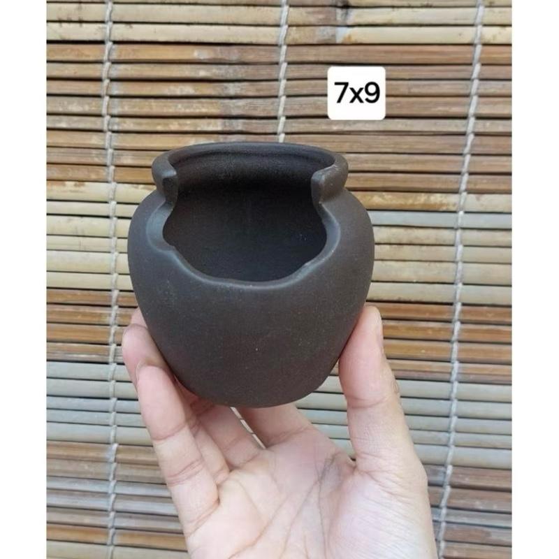 chậu gốm chum khoét trồng bonsai mini