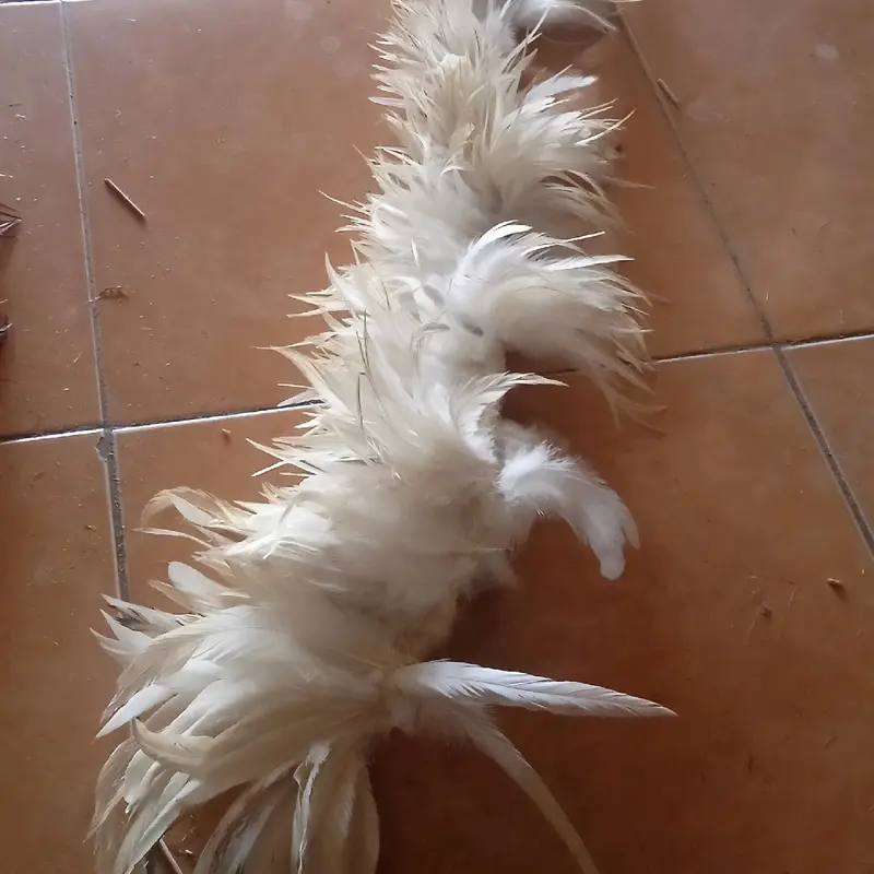 bulu ayam asli harga permeter. 1