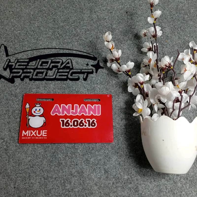 PLAT SEPEDA LISTRIK KARAKTER MIXUE HELLOKITTY KUROMI LABUBU DORAEMON 1