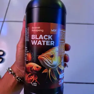 Ekstrak Ketapang Untuk Perawatan Ikan Cupang Channa Arwana dll