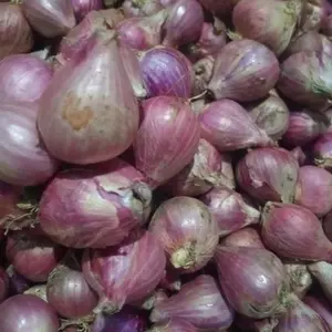 Bawang Merah Brebes Super pilihan dengan kualitas terbaik kering merah merona