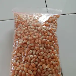 Jagung Popcorn Mentah 1 Kg Asli Argentina - Makanan Ringan - Food organik popcorn warna warni