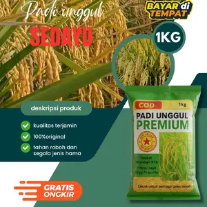 bibit benih padi Sedayu original kemasan 1kg