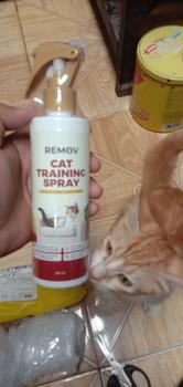 Product Review of Remov Cat Training Efektif Melatih Mendisiplinkan Pee Poop Kucing Liar Anabul Tidak Beracun 250ml from M**G ** 0