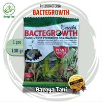Gambar Eureeka Bactergrowth 100gr - Rizhobacteria Pemacu Pertumbuhan Penyedia Nutrisi dan Pelindung Tanaman dari Serangan Penyakit dari Baroya Tani Kab. Kediri 1 Tokopedia