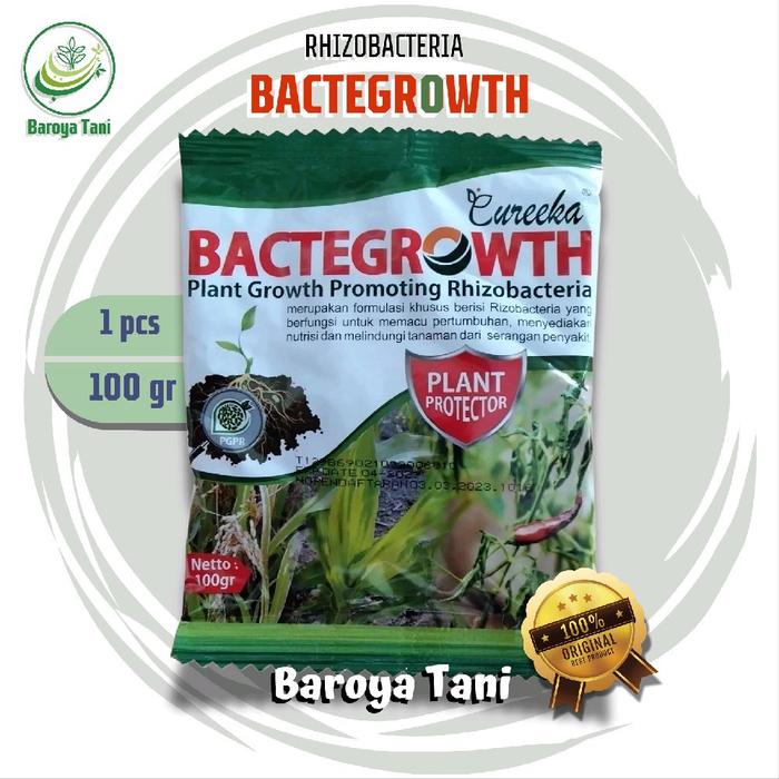 Gambar Eureeka Bactergrowth 100gr - Rizhobacteria Pemacu Pertumbuhan Penyedia Nutrisi dan Pelindung Tanaman dari Serangan Penyakit dari Baroya Tani Kab. Kediri Tokopedia
