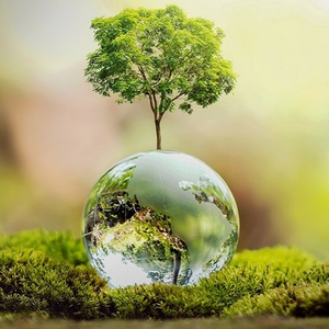 MỸ PHẨM BABY SHOP