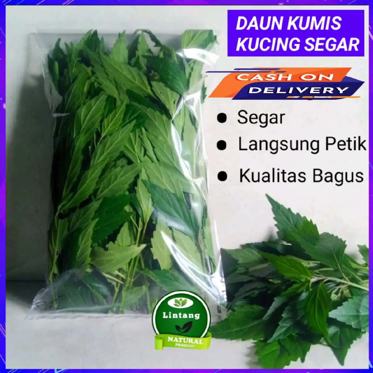 Daun Kumis Kucing Herbal 250gr
