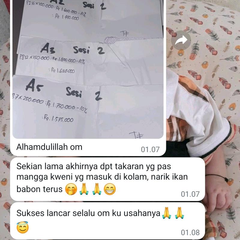 Booster Borneo / Pengumpul Ikan 4