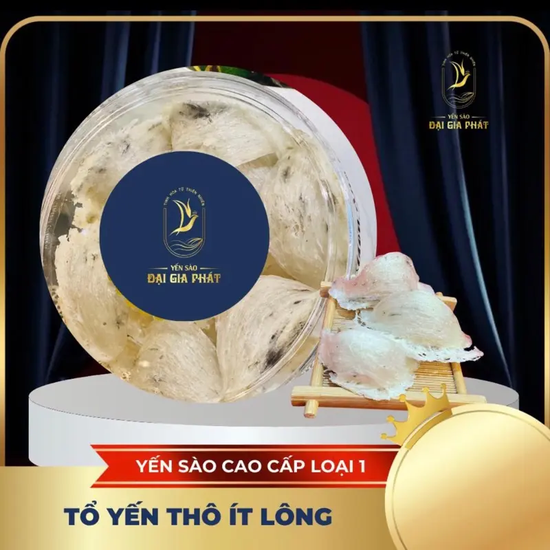 100gr Tổ Yến Thô Ít Lông [ Tặng kèm Nhíp + Táo đỏ + Đường phèn + Hạt chia ] - Yến sào Khánh Hòa