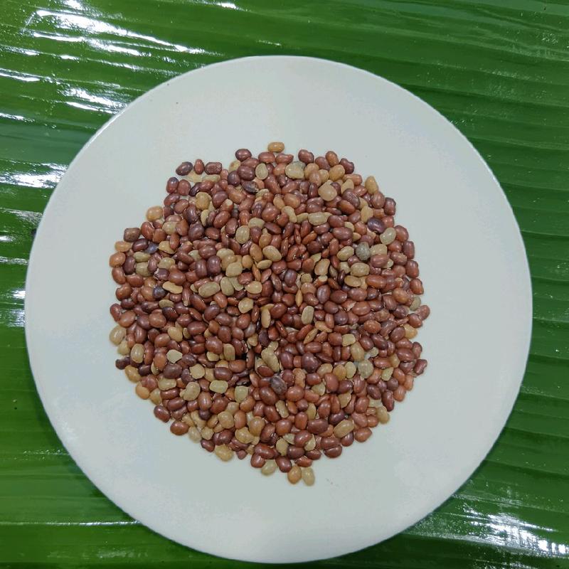 MFMG HORSE GRAM DHALL / KACANG KOLLU 100GM - TikTok Shop Malaysia