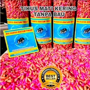 RAJANYA RACUN TIKUS - MATI KERING TANPA BAU Solusi Ampuh Basmi Tikus Hingga Tuntas