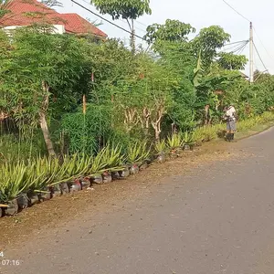 X1 CROM - Spion Assy Set Model Yamaha 125 Z X1 Thailand Vario Beat Lexi Jupiter Z Mx Nmax Aerox F1zr