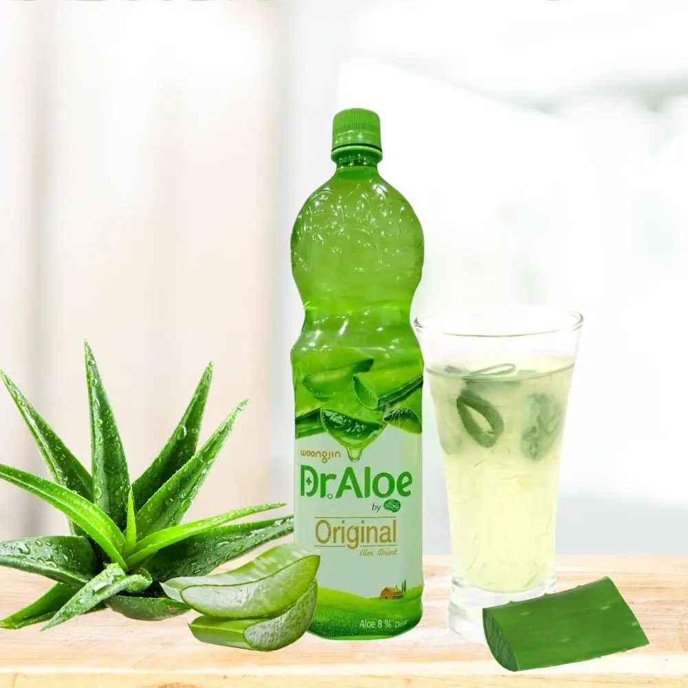 Woongjin Dr. Aloe Vera Juice - 1.5L/500ML Korean Drinks - TikTok Shop  Philippines