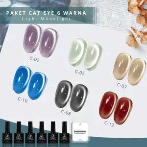 Paket Rising Lady Light Gradient Cat Eye Magnetic Gel Nail Polish / Kutek Cat Eye 6 Colour Nails for Nail Art 7.3ml