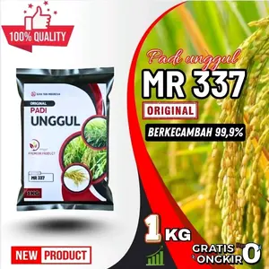 Benih Padi Unggul MR 337 Original Berkecambah 99,9% Premium Kemasan 1-5KG