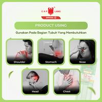 Gambar Cap Lang MINYAK KAYU PUTIH PLUS 120 ML dari Cap Lang Shop Kab. Tangerang 5 Tokopedia