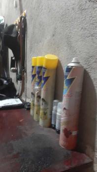 Product Review of Wawang spray Aerosol Insecticide Big Bottle 750ml AUTHENTIC SPRAY Scented from M**a 0