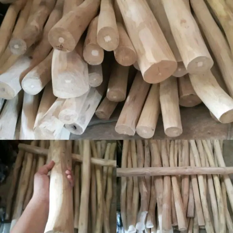 kayu kopi buat nangkring burung