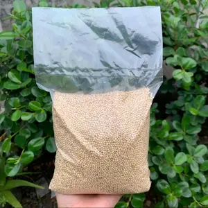 Milet Putih 500gr Kemasan Plastik Pakan Burung Pakan Hamster makanan