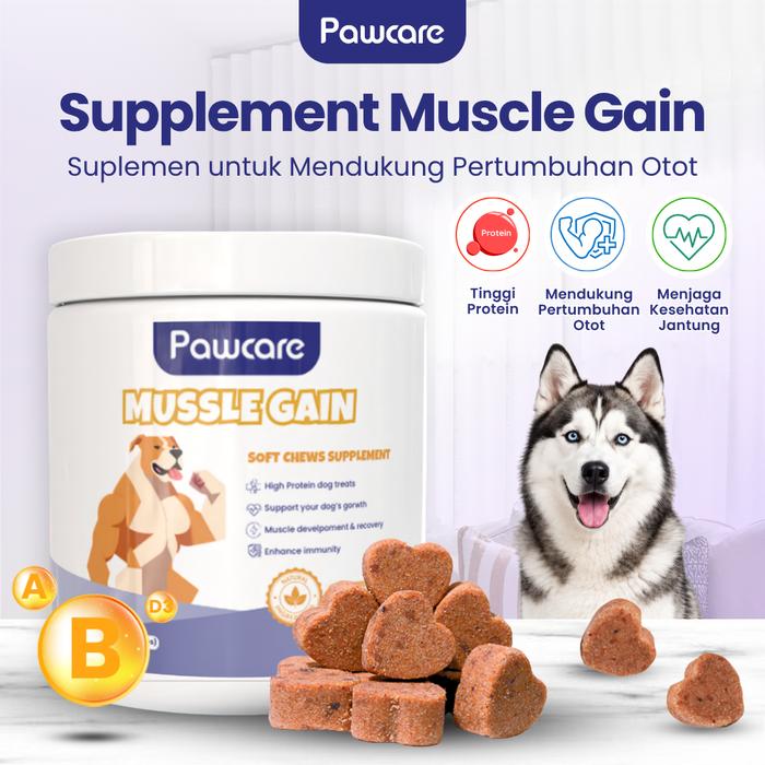 Gambar Pawcare - Vitamin Pertumbuhan Massa Otot Anjing Semua Usia - Vitamin Muscle Gain - High Protein - Mussle Gain dari Pawcare.id Kab. Tangerang Tokopedia