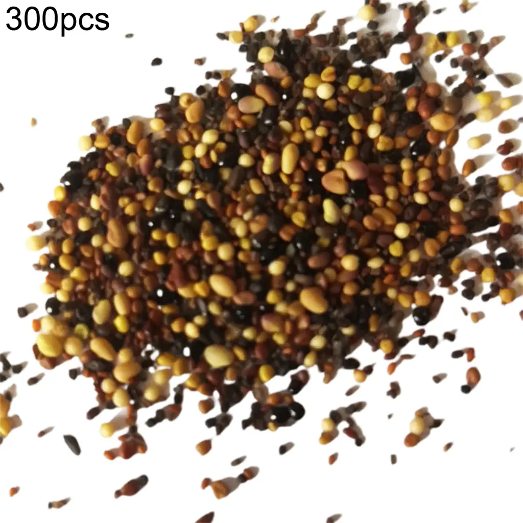 zeeniago- 300Pcs Mixed Rare Succulents Perennial Plant Seeds Garden Balcony Bonsai Decor