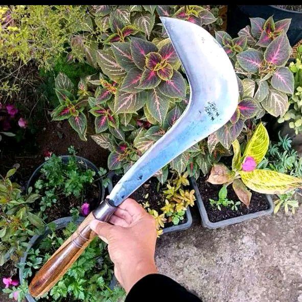 congkrang rumput asli original untuk bekebun anti Karat Kuat - Shop ...