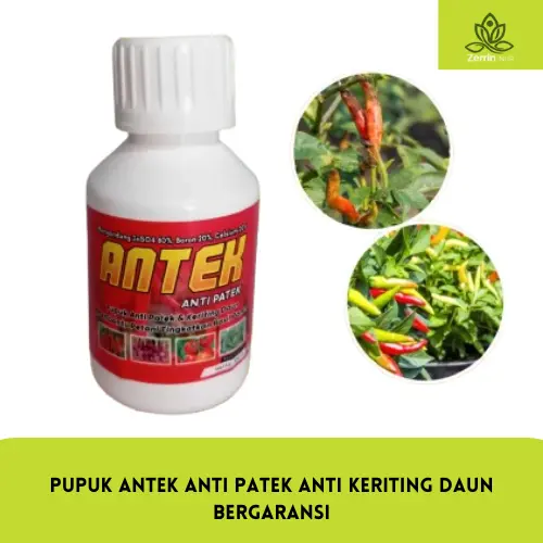 PUPUK ANTEK ANTI PATEK ANTI KERITING 100ml