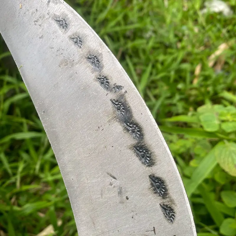 arit sabit rumput baja isen selap super asahan 3