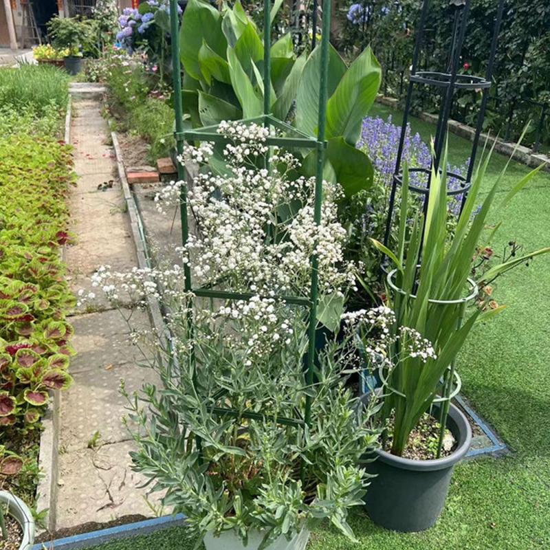 Product Introduction of 80cm Plastic Column Vine Plant Bracket Potted Plant Flower Tomato Support Pile Vine Climbing Frame Plant 31