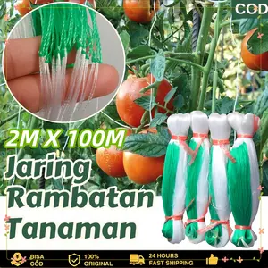 2M X 100M Jaring Rambatan Tanaman Buah Merambat Plant Climbing Net Jaring Pagar Ayam Kebun Lanjaran Tanaman - 2M*100M