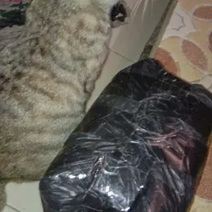 Makanan Kucing Joss Cat Food 1kg Rasa Ikan Tuna Makanan Kucing Dewasa