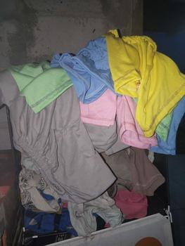 Product Review of GROSIR CELANA ANAK / CELANA LUSINAN / 12 PCS CELANA WARNA STICKER from g**i 1