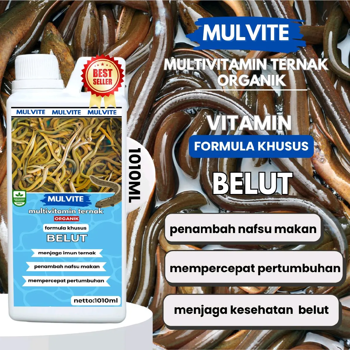 MULVITE MultiVitamin Probiotik 1010 Ml Hormon Pemicu Percepat Pertumbuhan Pada Budidaya Belut By mulvite